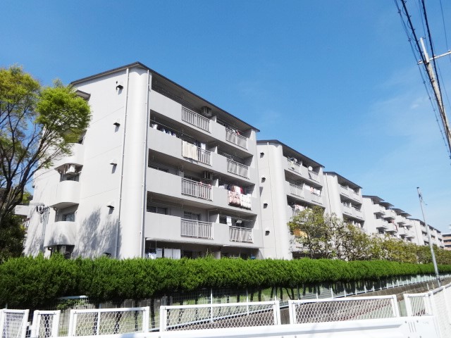 近くでずっと探していました、、、