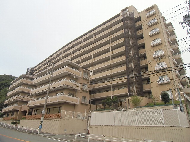 猫たちと一緒に第２の人生