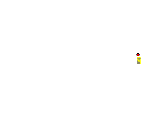 津田