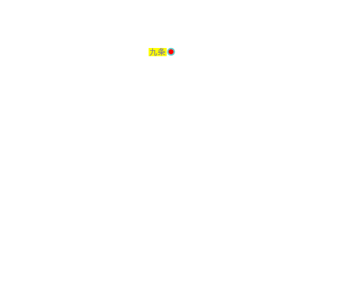 九条