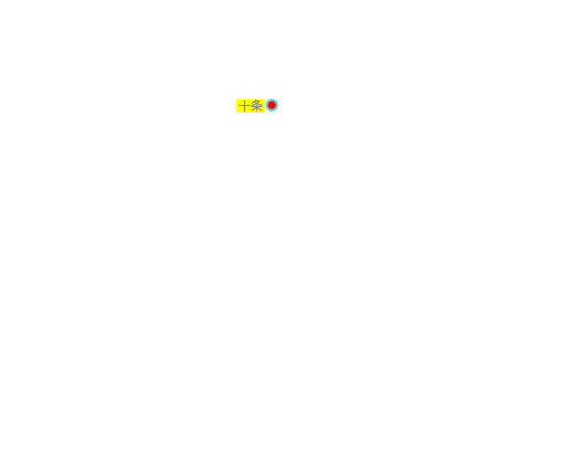 十条
