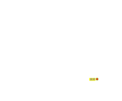 黄檗