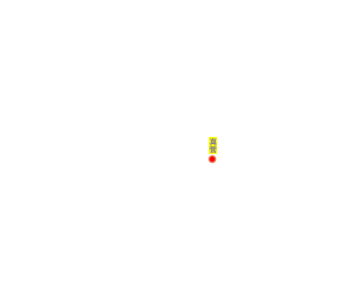 真菅