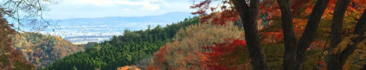 生駒郡平群町