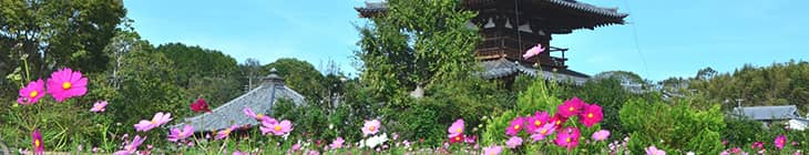 生駒郡斑鳩町