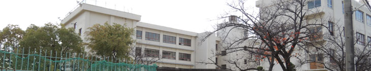 泉小学校