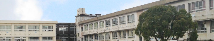 向丘小学校