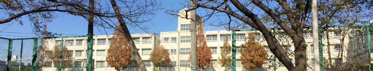 新浅香山小学校