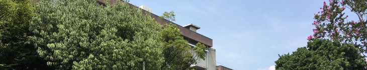 野田小学校