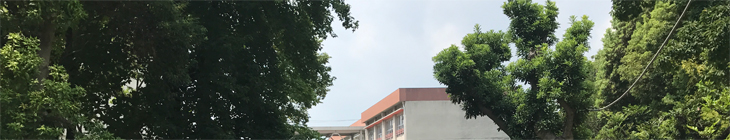 野畑小学校