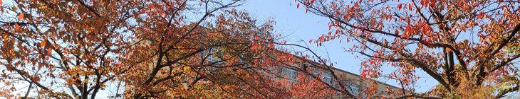 美豆小学校