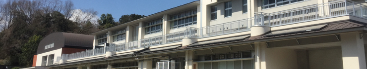 桜井小学校