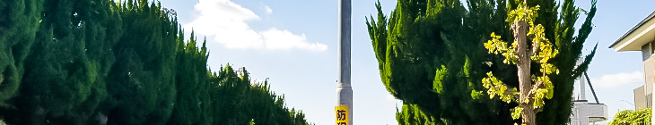 高美小学校