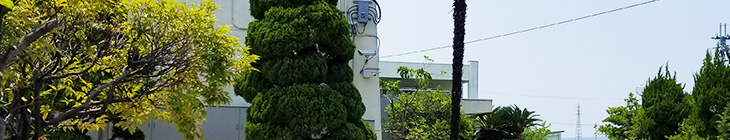 平野小学校