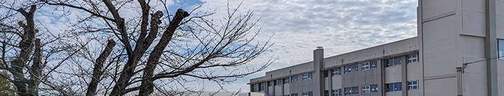 坂本小学校