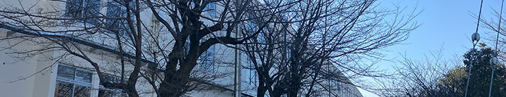 晴嵐小学校