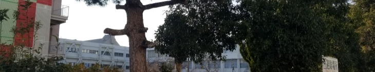 草津小学校