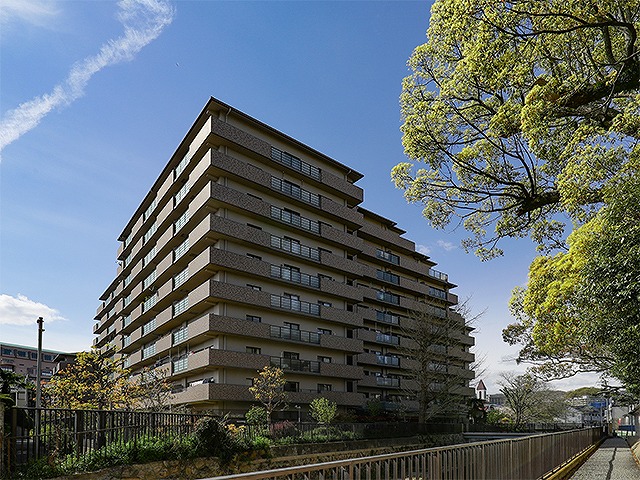 ポストの中のチラシ