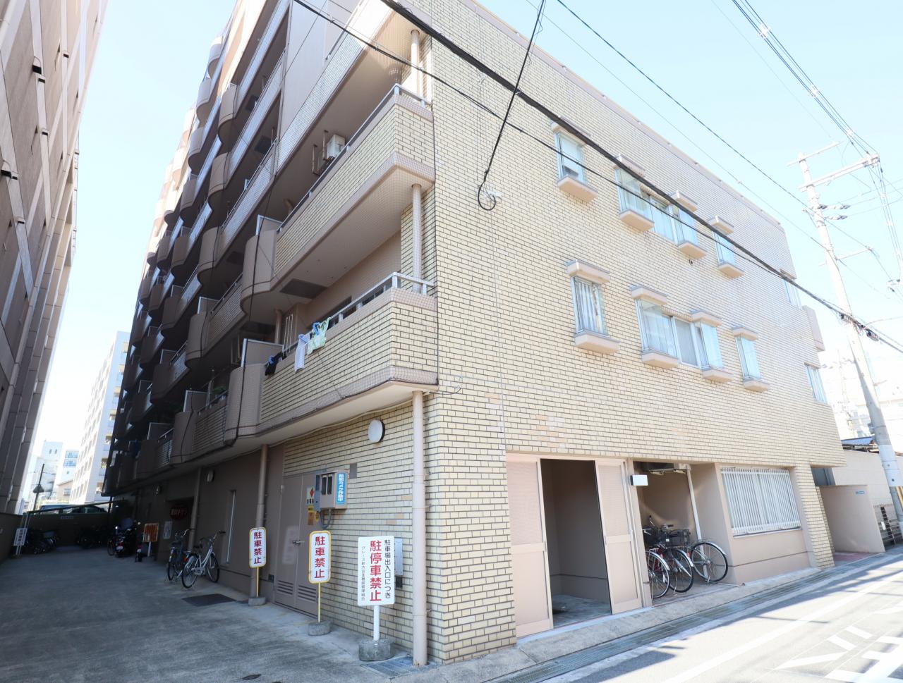 チラシを見て気になった為