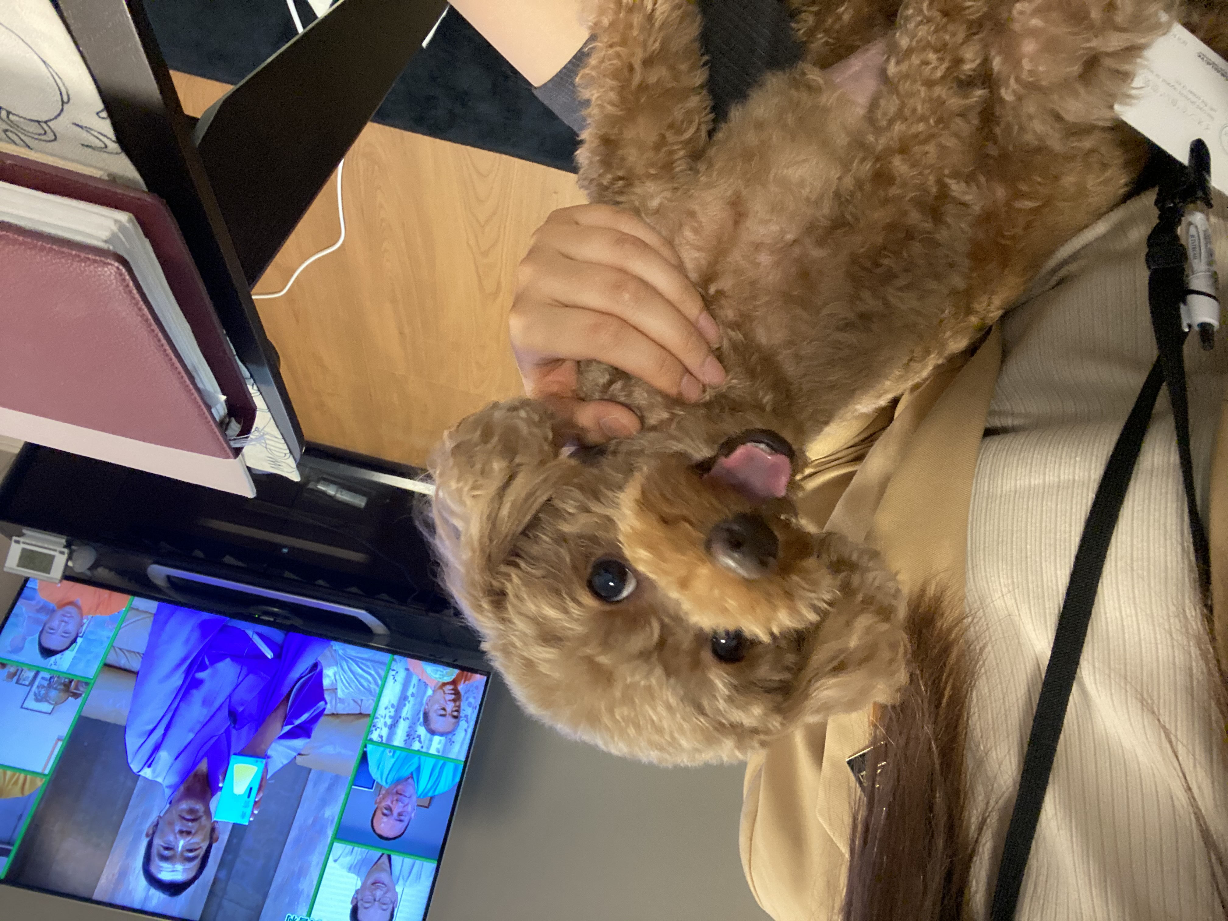 家の売却、引っ越し、購入の相談から