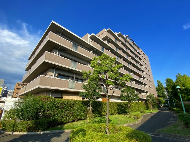 手広になったため