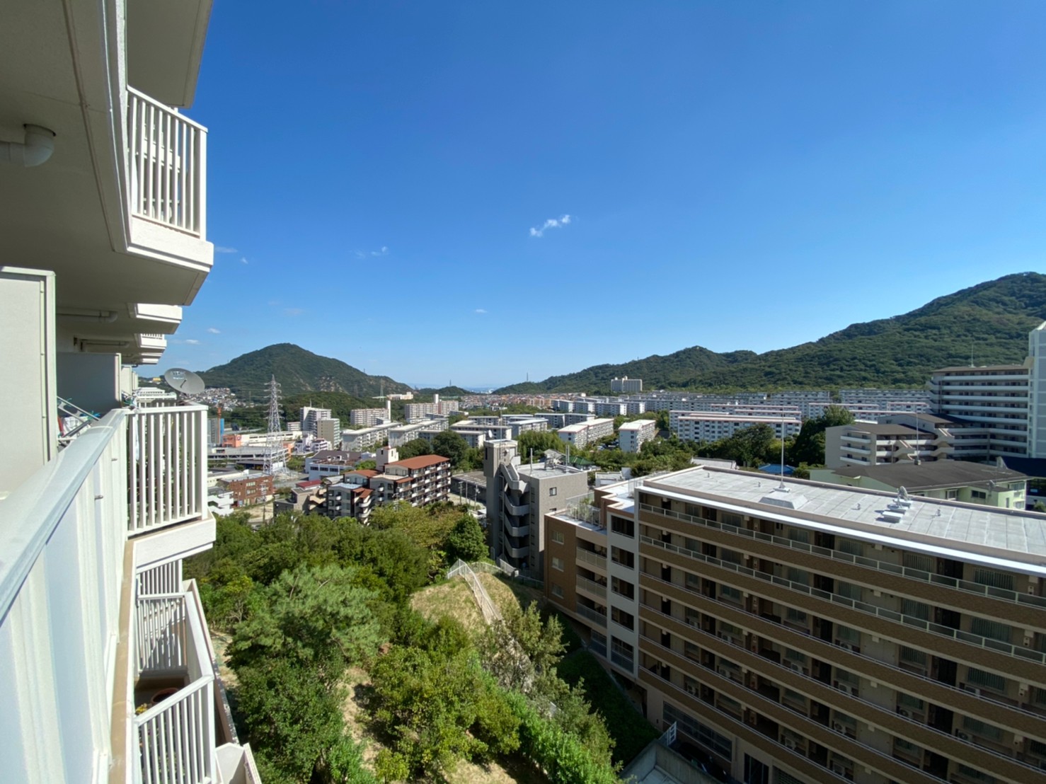 引っ越しするタイミングだった為