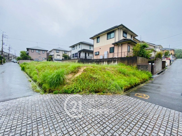 家族が増えるので