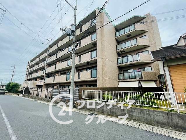 実家近くでのお探し