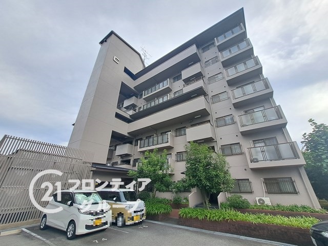 部屋が手狭、猫と暮らしたい。老後の住居確保