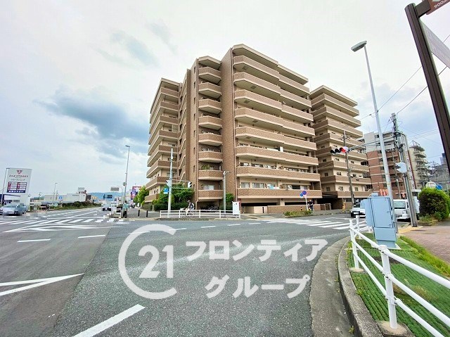 前から見ていた