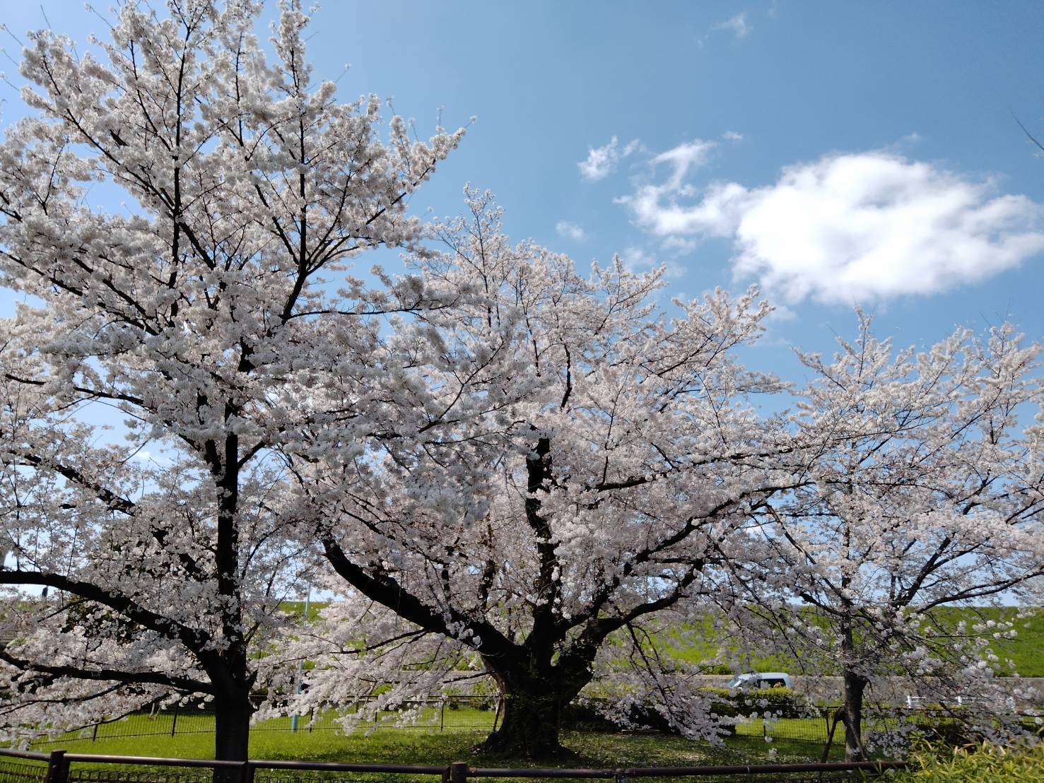 資産整理のため